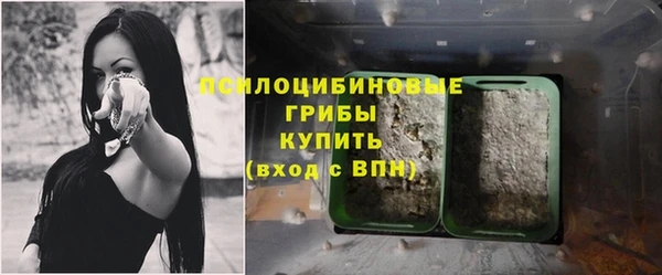спайс Арсеньев