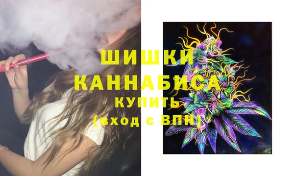 ешки Аркадак