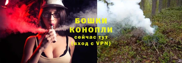 ешки Аркадак