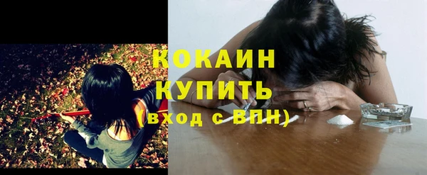 спайс Арсеньев