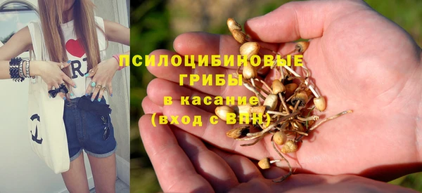спайс Арсеньев